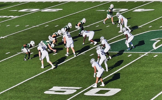 为未来赛道 为未来赛道