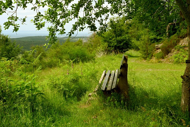 的优势与短 的优势与短